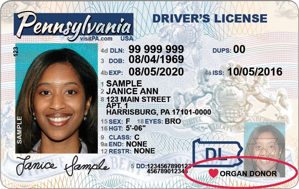 Super Bowl Picks Reflection and&nbsp;Apology